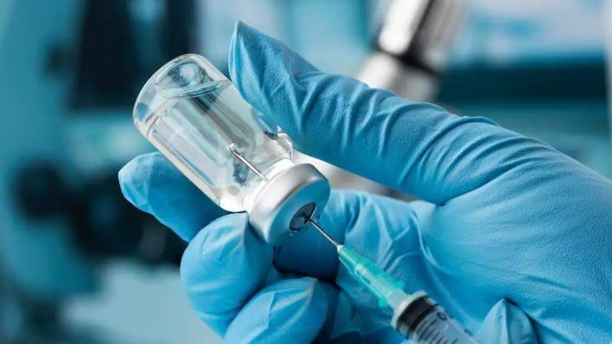 WhatsApp Image 2025-12-22 at 7.19.36 PM