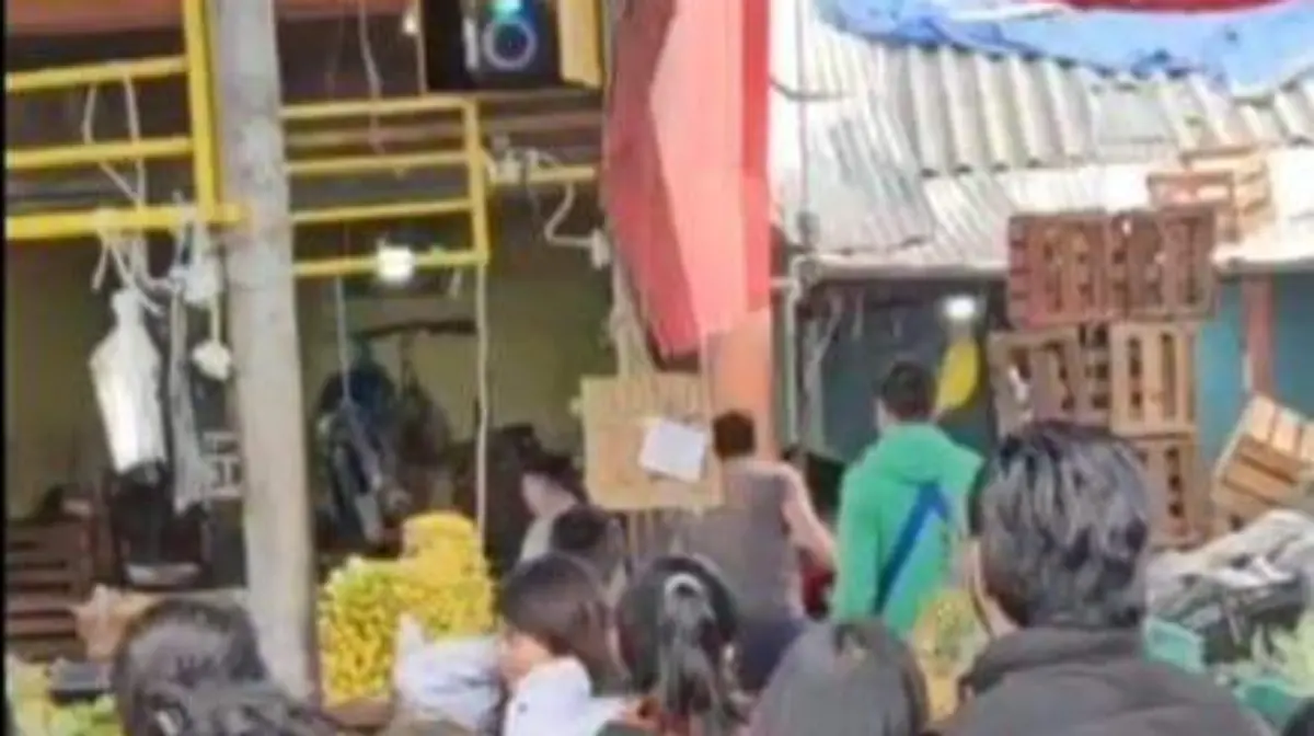 WhatsApp Image 2025-12-23 at 3.52.15 PM