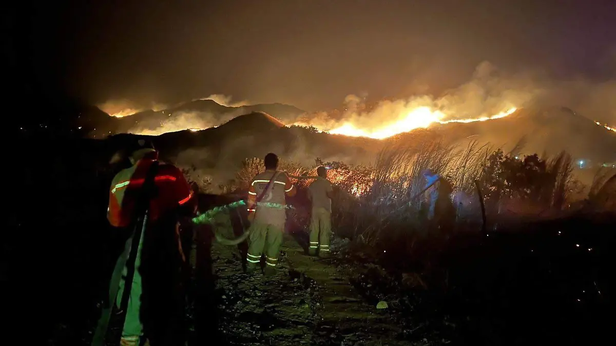 WhatsApp Image 2025-12-26 at 1.46.56 PM (1)