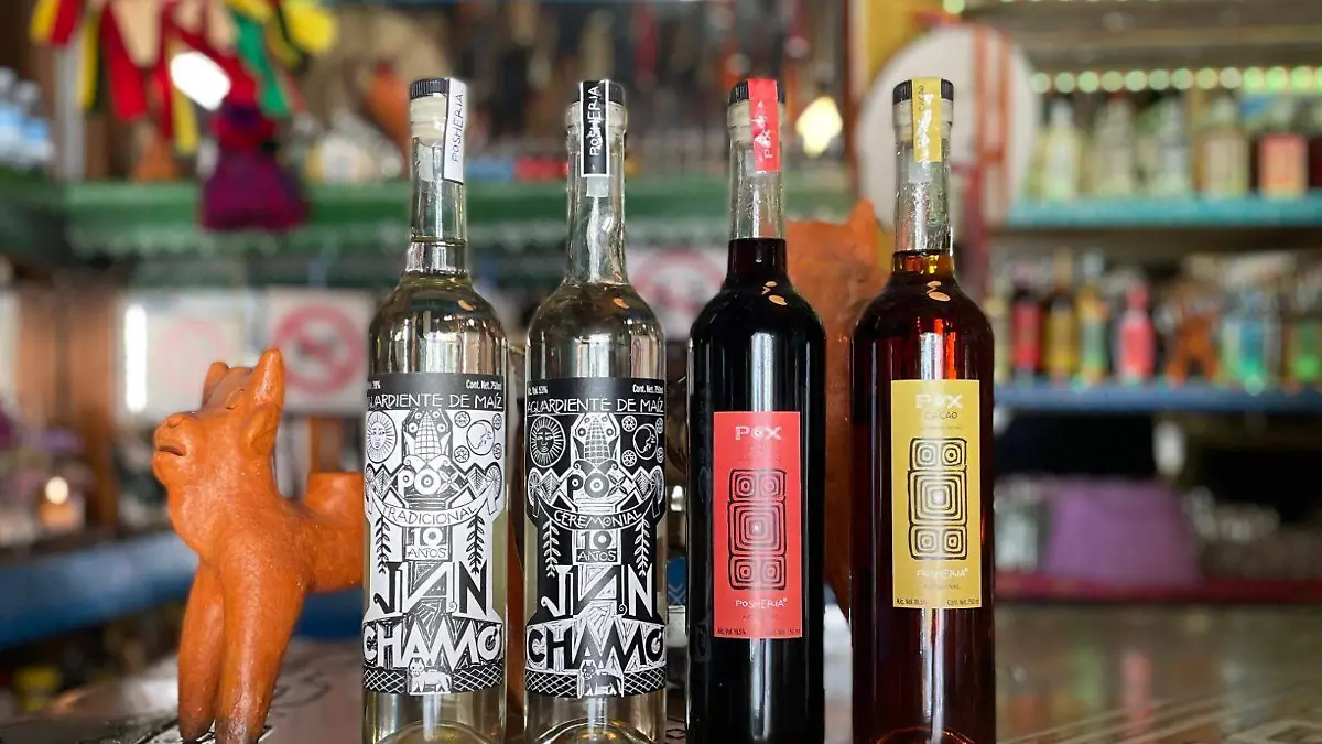 WhatsApp Image 2025-12-26 at 5.40.48 PM