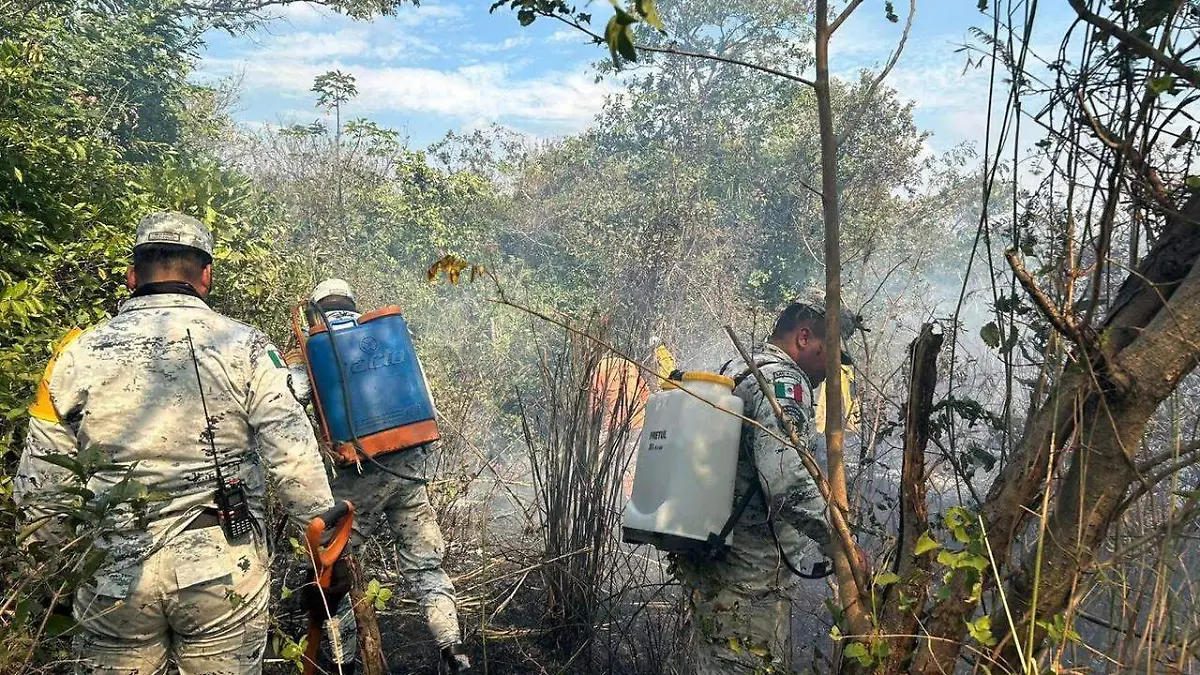 WhatsApp Image 2025-12-27 at 2.58.20 PM (1)