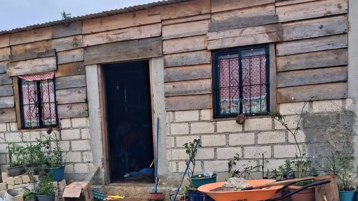 WhatsApp Image 2025-12-28 at 15.53.54 (2)