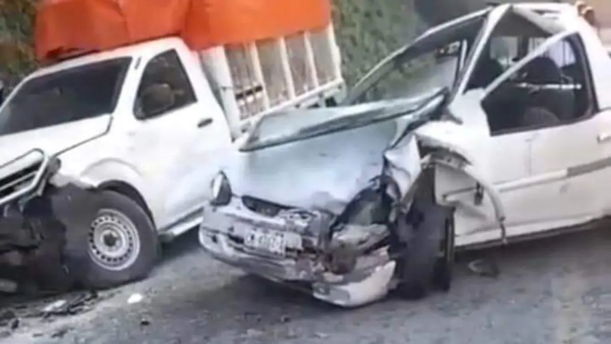 WhatsApp Image 2025-12-29 at 10.41.08