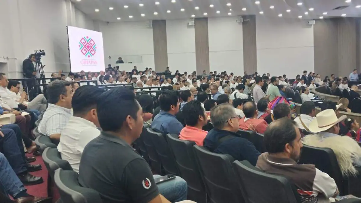 WhatsApp Image 2025-12-30 at 15.16.43