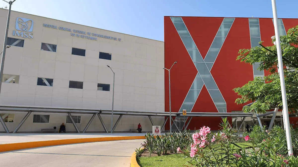 WhatsApp Image 2025-12-31 at 1.04.06 PM (2)