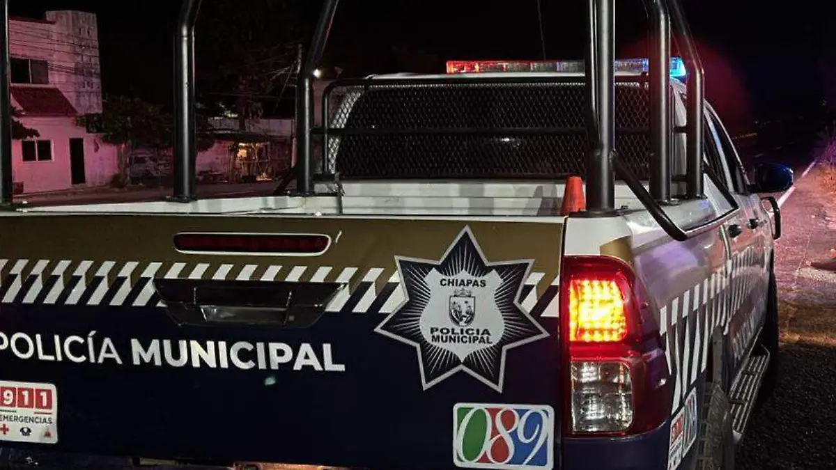 WhatsApp Image 2026-01-03 at 15.22.02