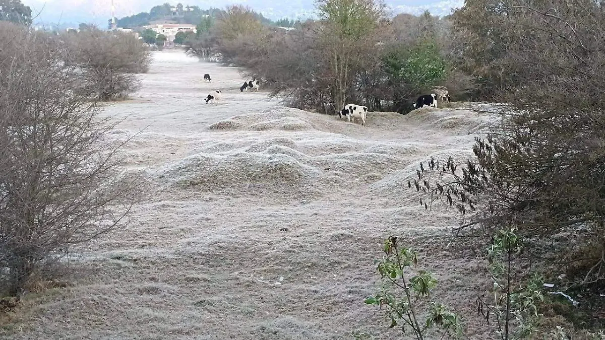 frente frio en san cristobañ
