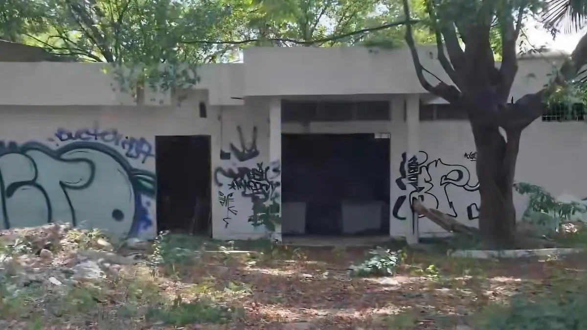 ssstik.io_1767568040392(2)