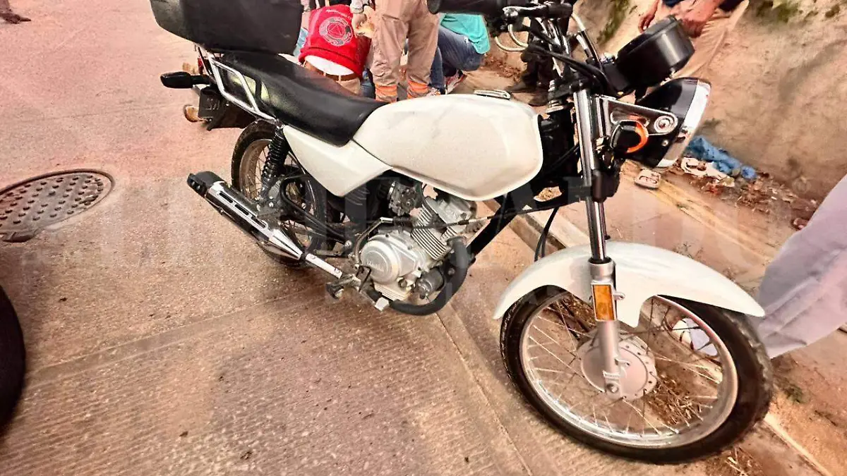 WhatsApp Image 2026-01-06 at 14.55.30 (2)