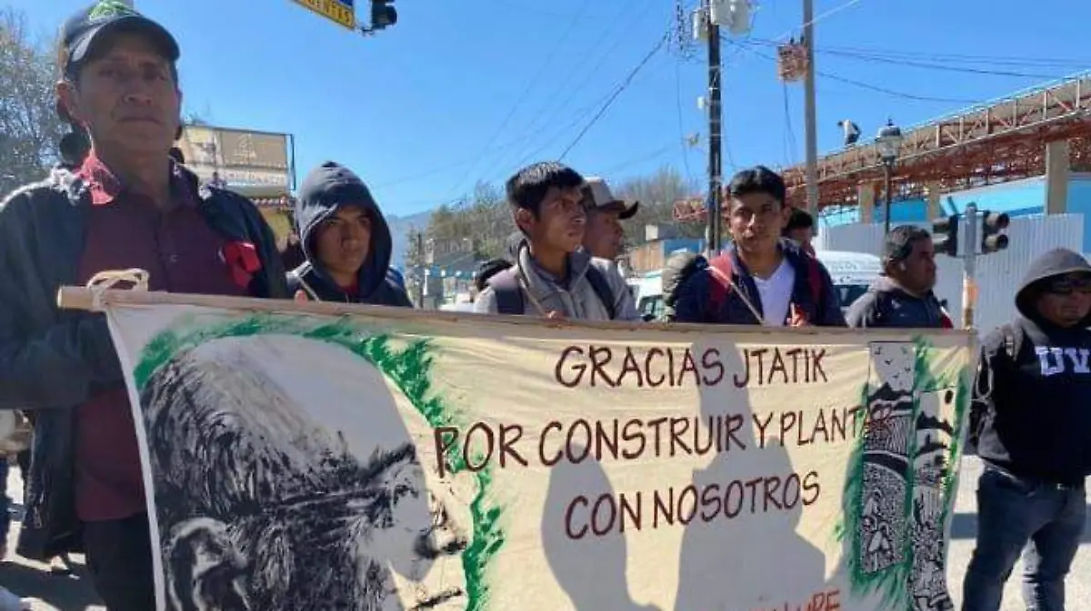 WhatsApp Image 2026-01-07 at 14.54.48