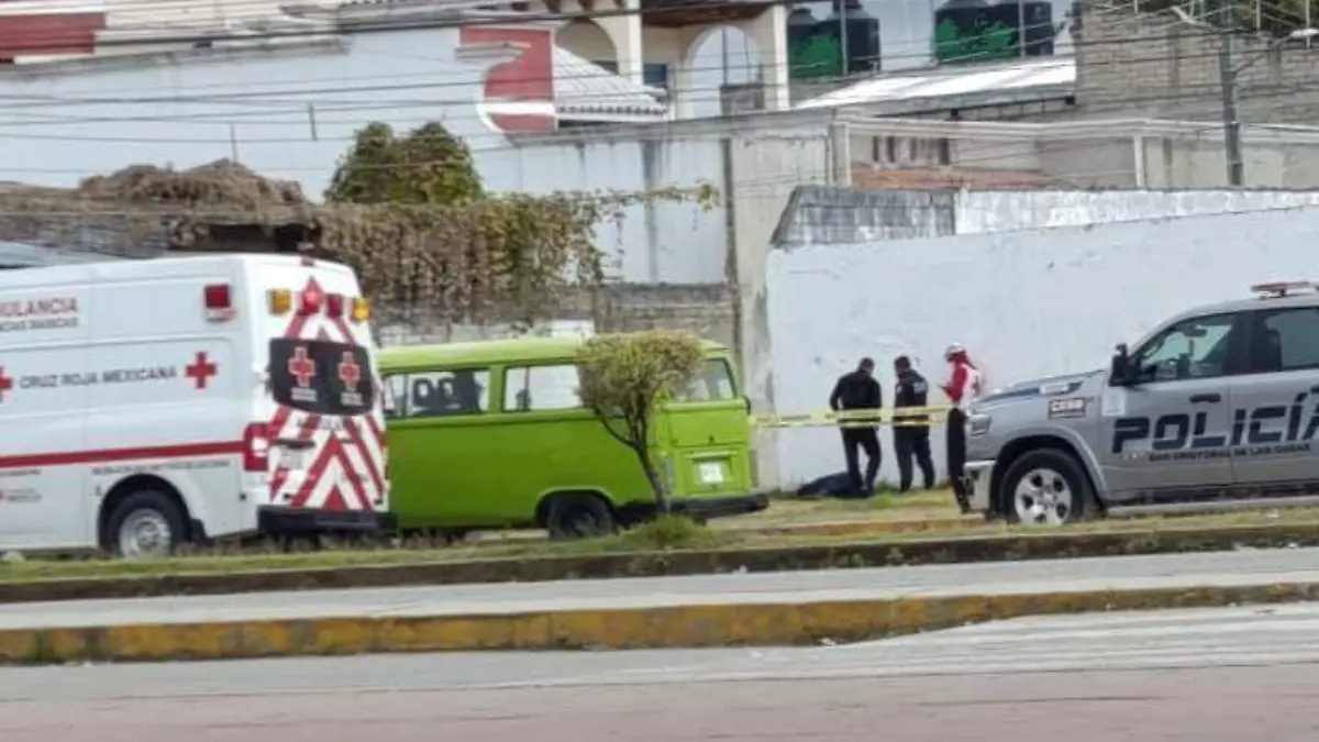 WhatsApp Image 2026-01-11 at 2.07.52 PM