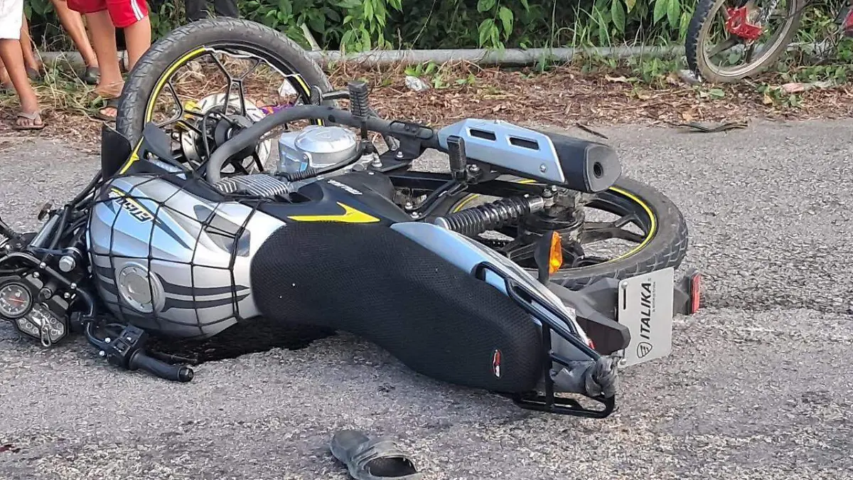 WhatsApp Image 2026-01-11 at 16.33.15