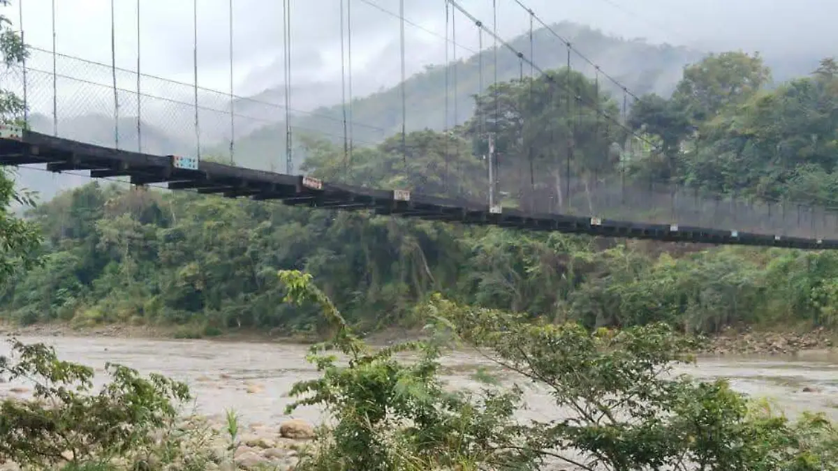 WhatsApp Image 2026-01-12 at 11.29.34 AM (1)