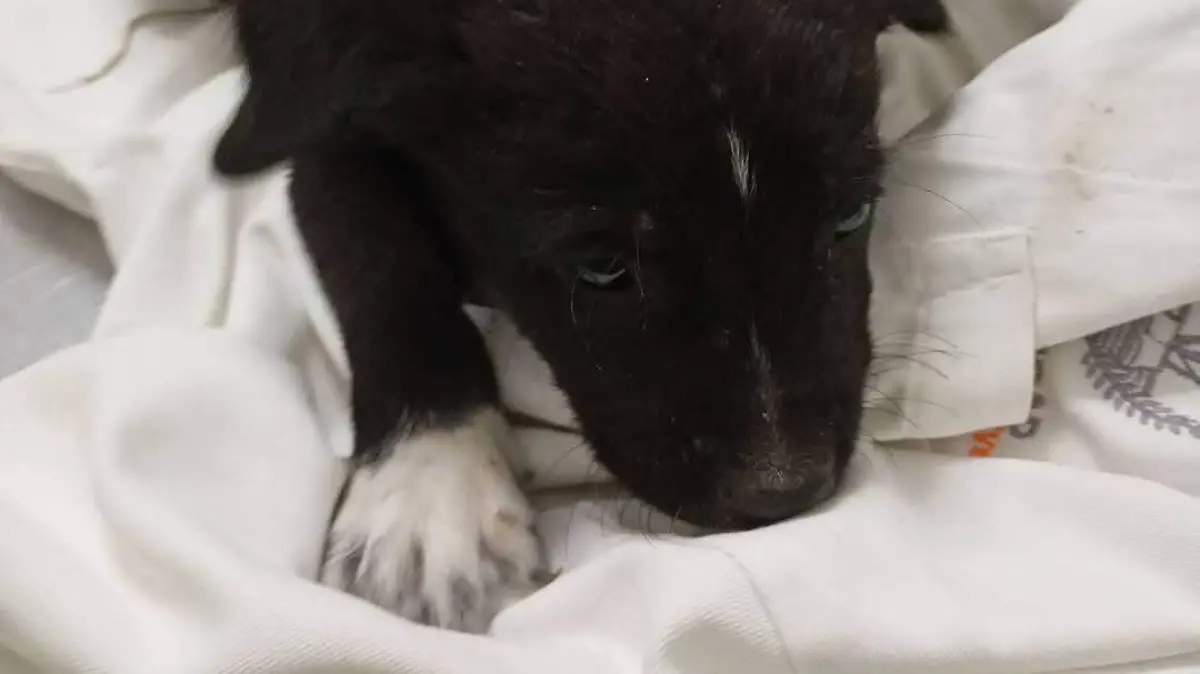 FB_IMG_1768258584335