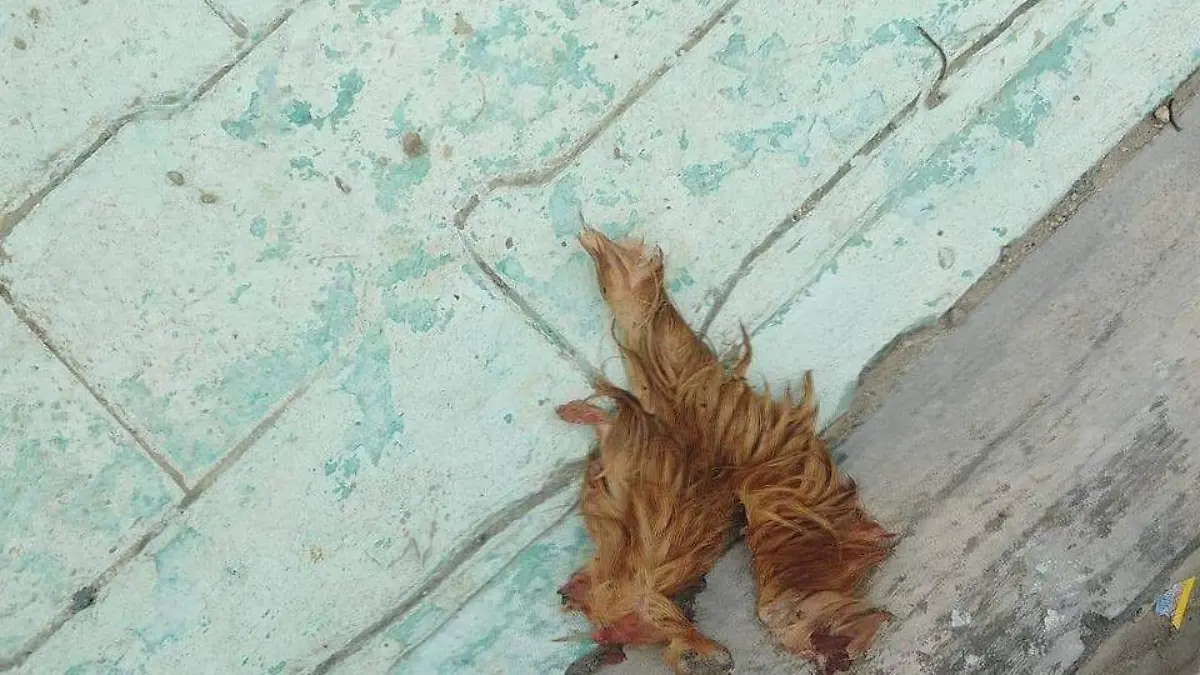 WhatsApp Image 2026-01-13 at 9.18.02 AM