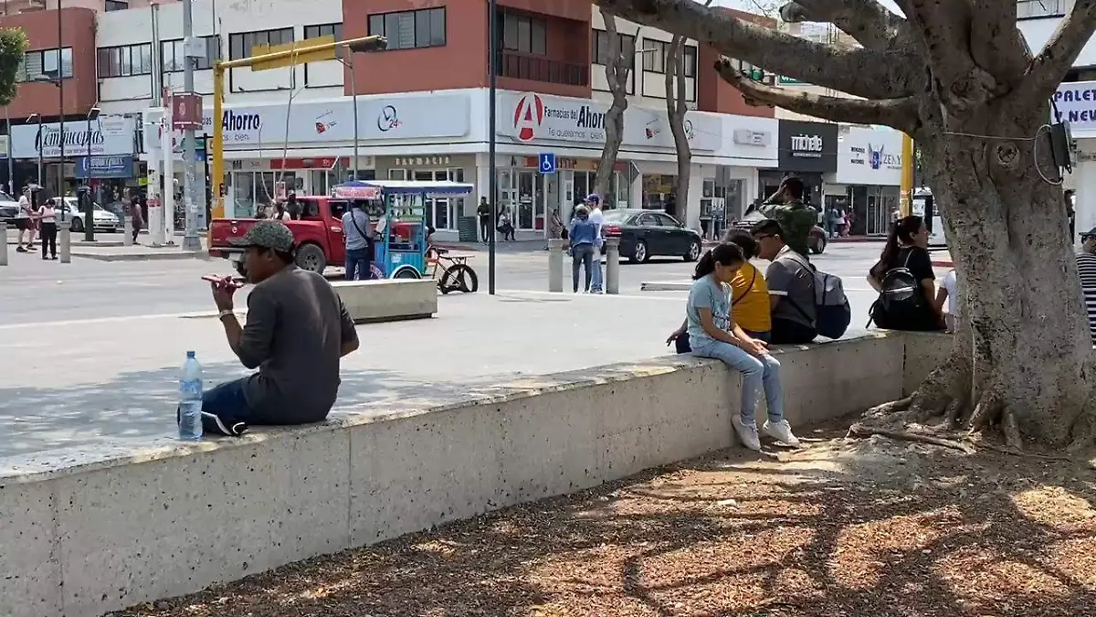 VideoCapture_20240424-162239