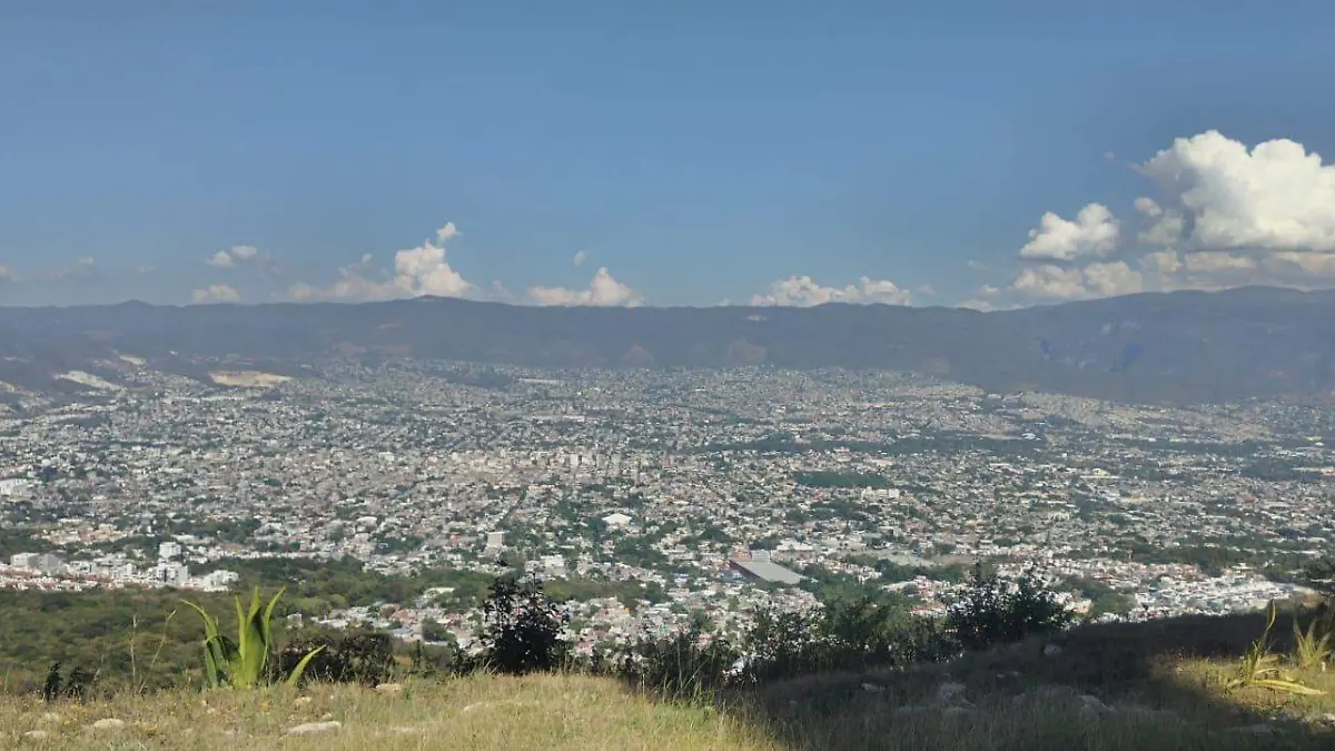 WhatsApp Image 2026-01-10 at 12.13.08