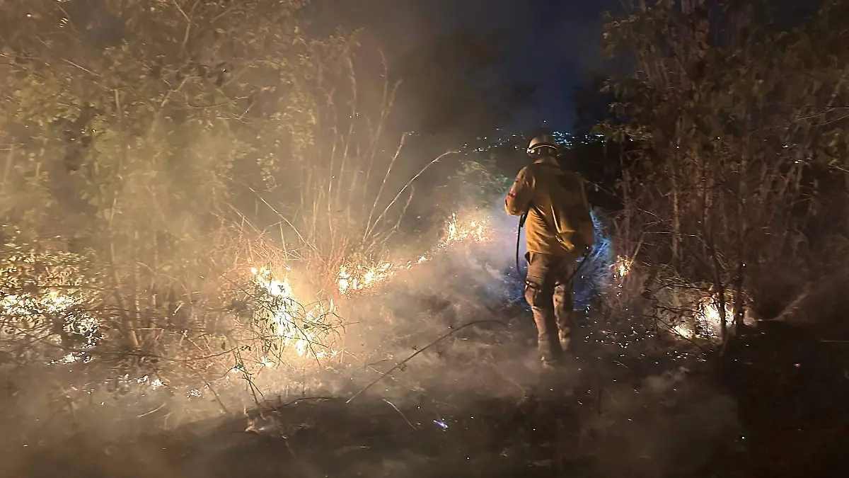 WhatsApp Image 2026-01-13 at 17.14.21 (3)