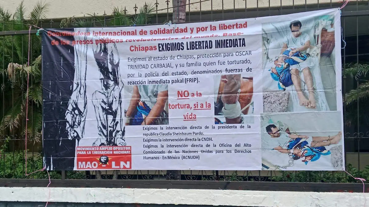 WhatsApp Image 2026-01-14 at 12.29.51 PM