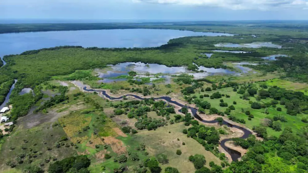 WhatsApp Image 2026-01-16 at 13.36.41