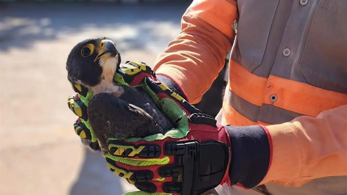 WhatsApp Image 2026-01-17 at 1.48.27 PM