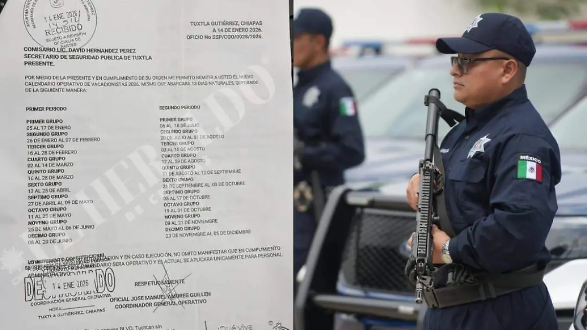 WhatsApp Image 2026-01-17 at 18.11.57