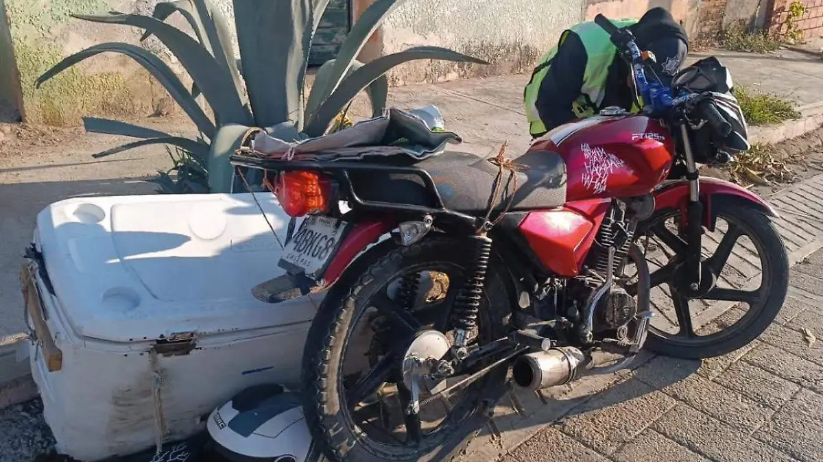 WhatsApp Image 2026-01-18 at 8.59.38 AM