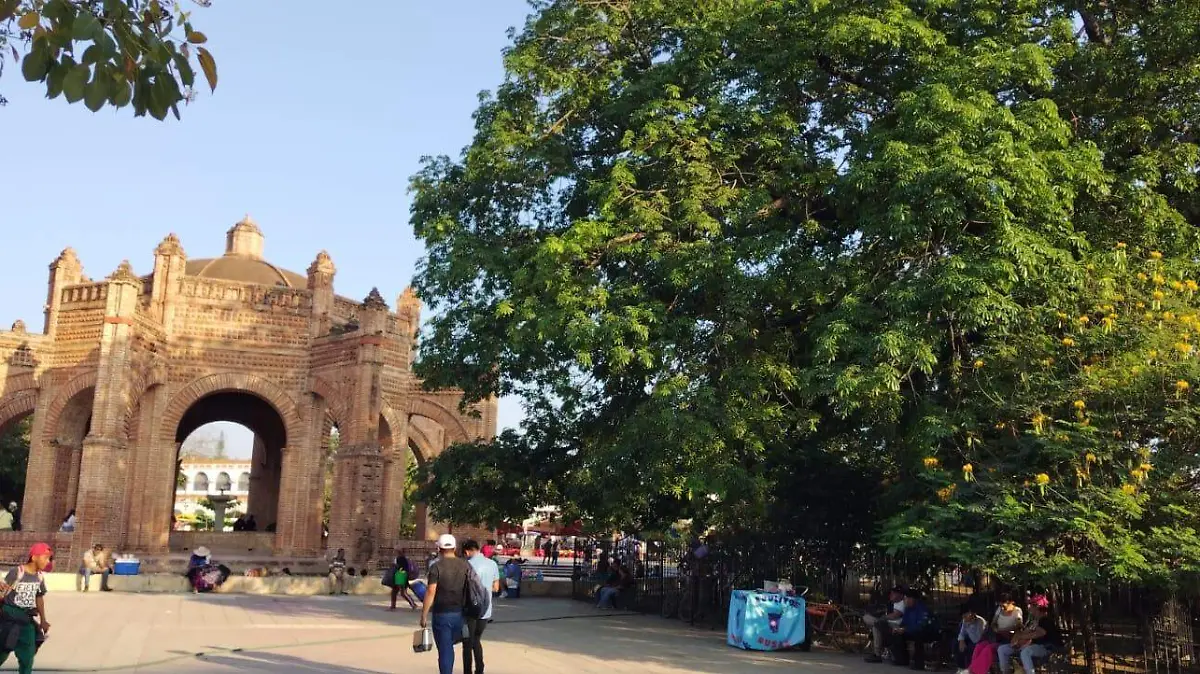 WhatsApp Image 2026-01-10 at 9.23.44 AM