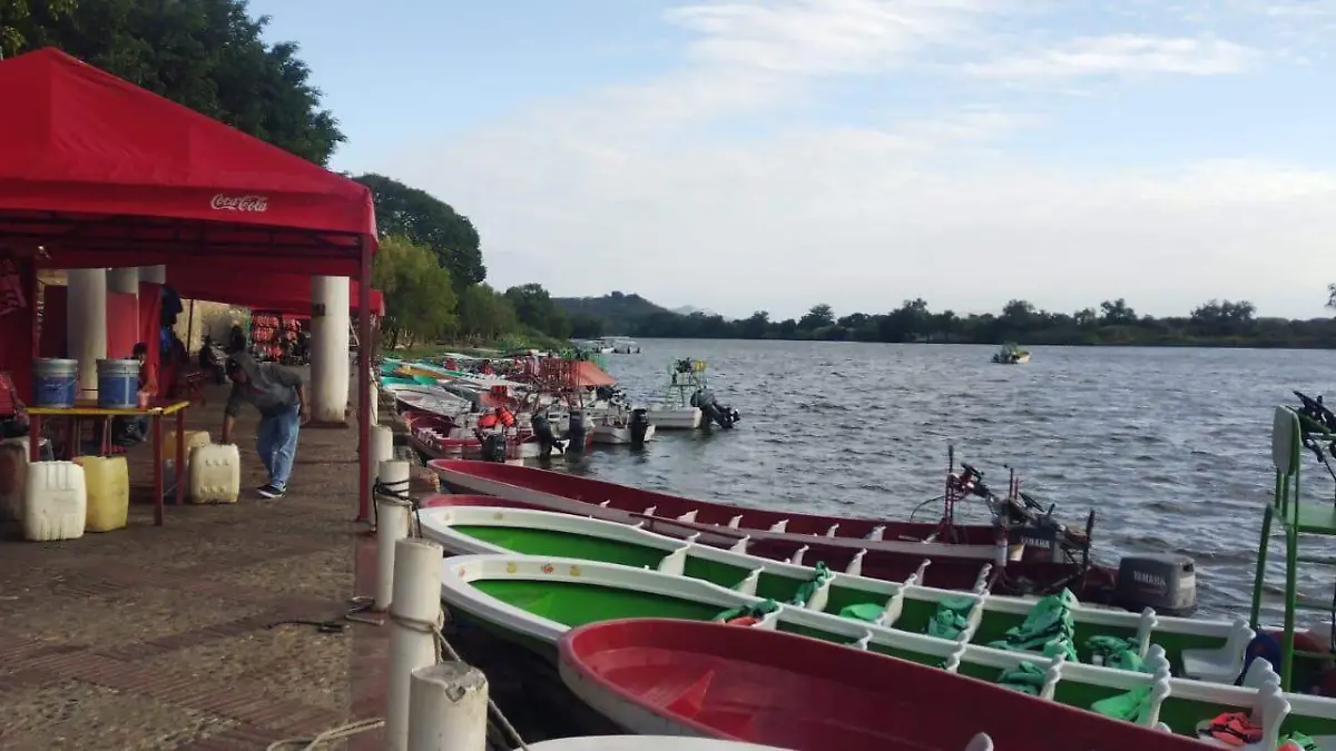 WhatsApp Image 2026-01-17 at 10.57.22