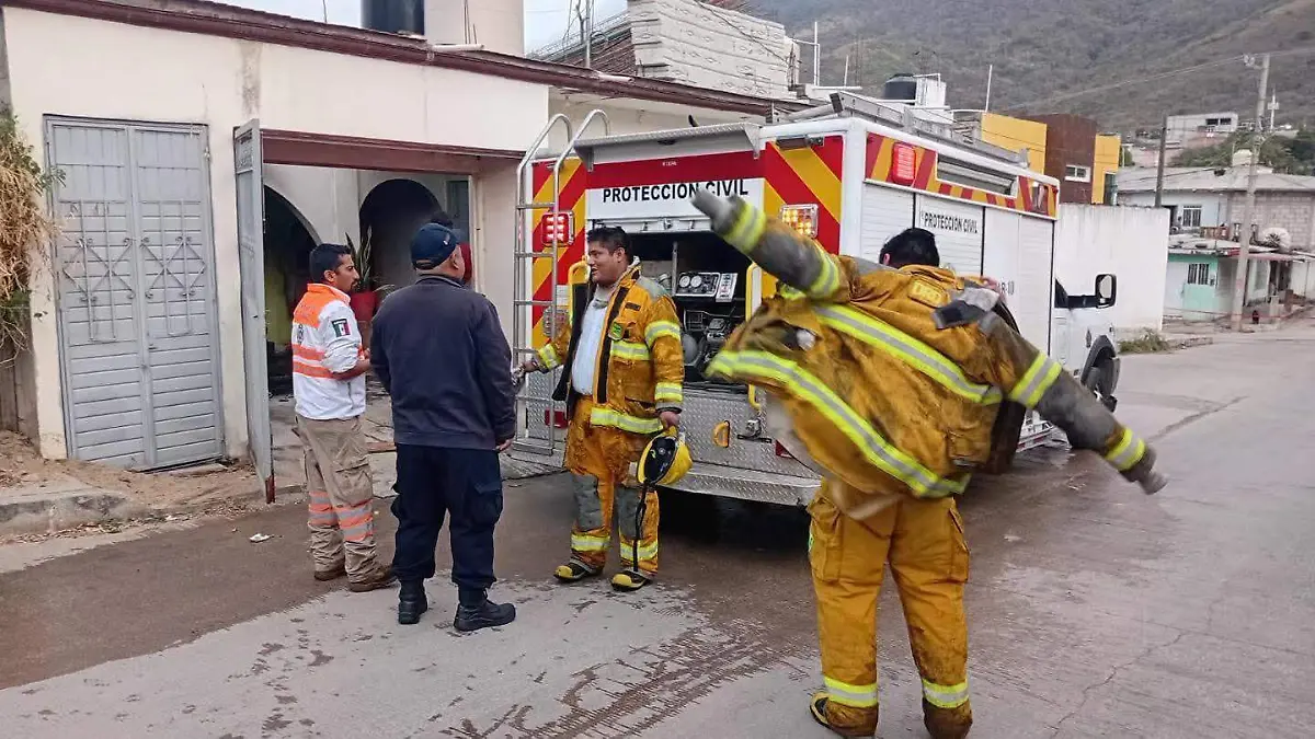 WhatsApp Image 2026-01-20 at 2.10.14 PM