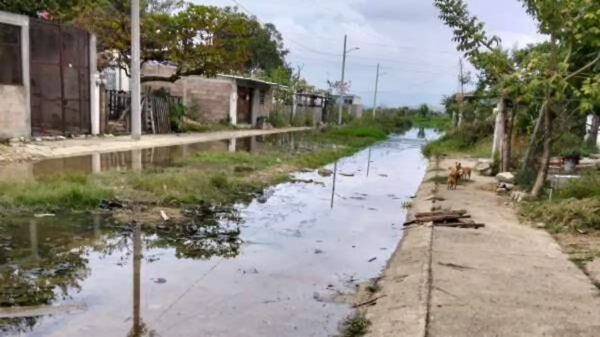 601007944_1206436904966345_8209072125227537202_n