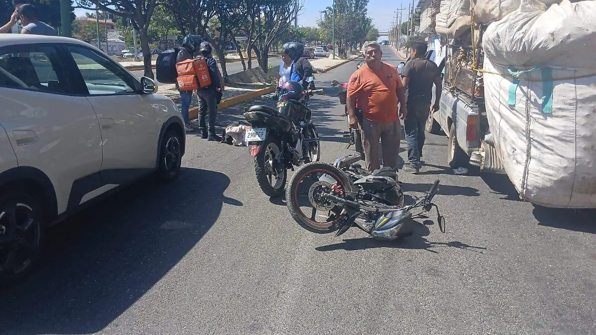 WhatsApp Image 2026-01-24 at 15.05.57