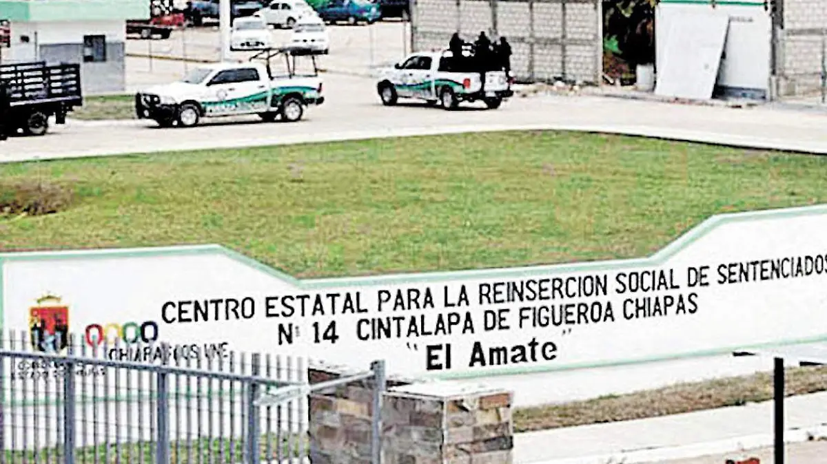 WhatsApp Image 2026-01-25 at 1.53.42 PM