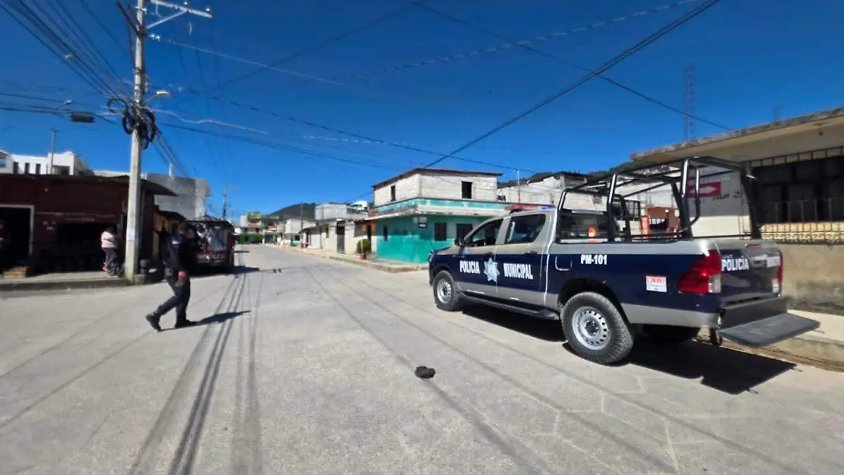 WhatsApp Image 2026-01-25 at 17.20.19