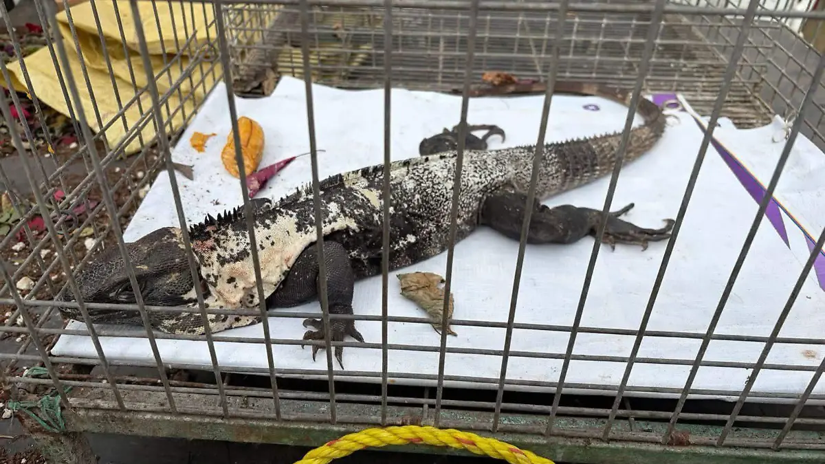 WhatsApp Image 2026-01-26 at 7.40.00 AM