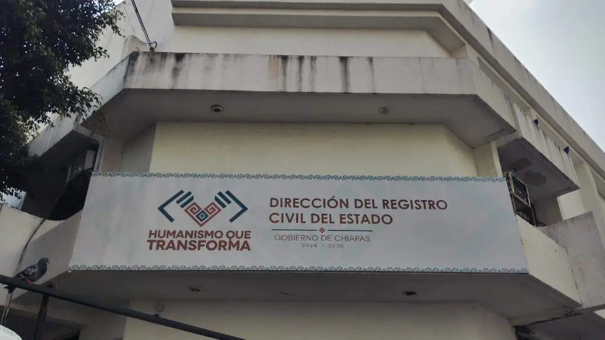 WhatsApp Image 2026-01-26 at 10.54.16 AM