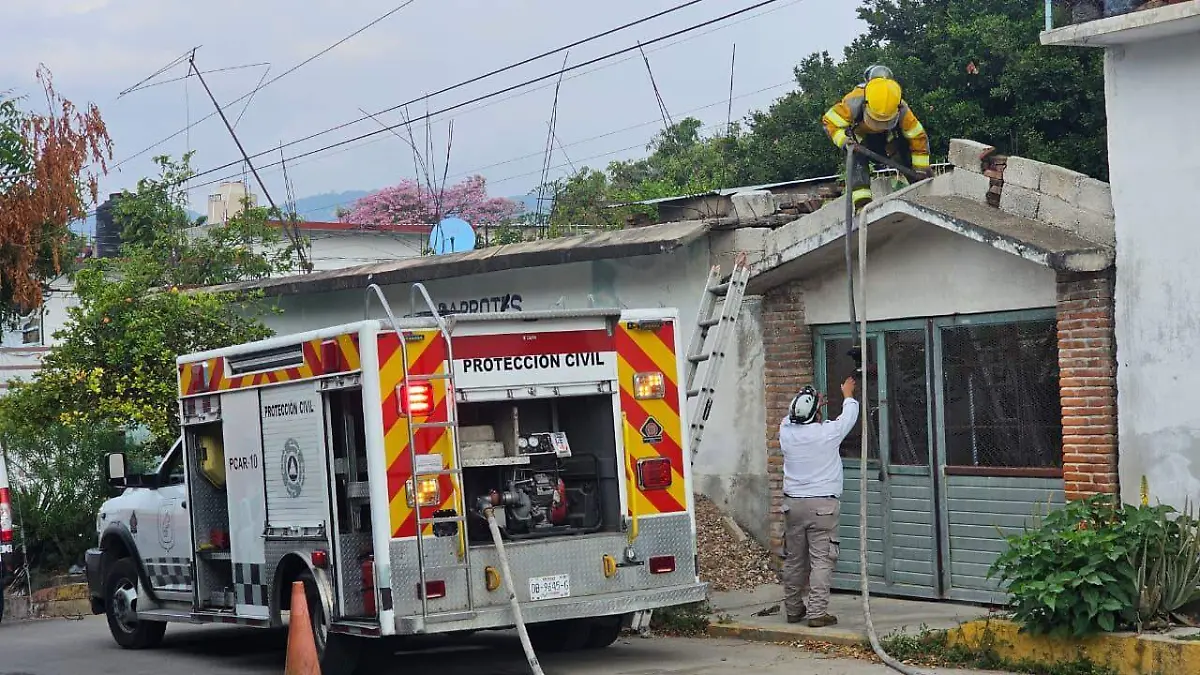 WhatsApp Image 2026-01-26 at 12.44.19 PM (1)