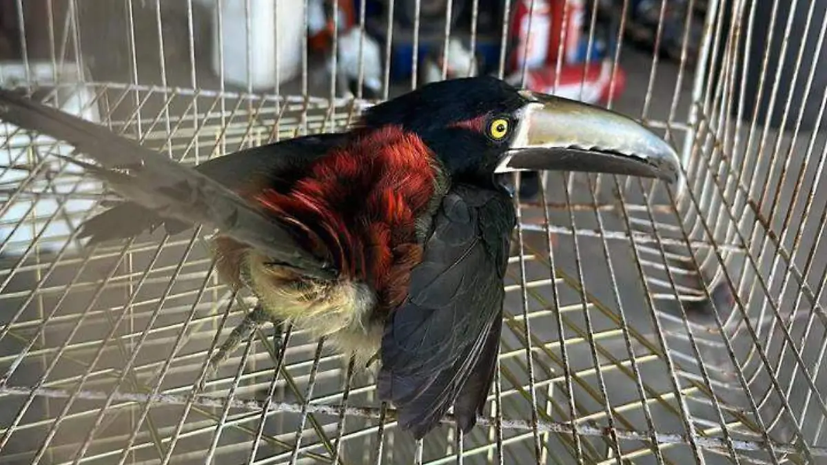 WhatsApp Image 2026-01-26 at 17.48.05