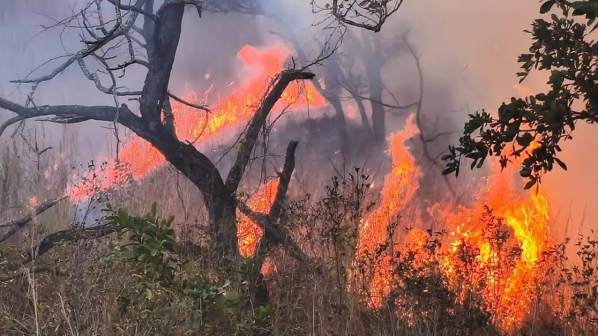 WhatsApp Image 2026-01-26 at 17.56.00