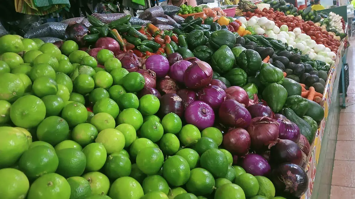 WhatsApp Image 2026-01-27 at 10.39.23 AM (1)