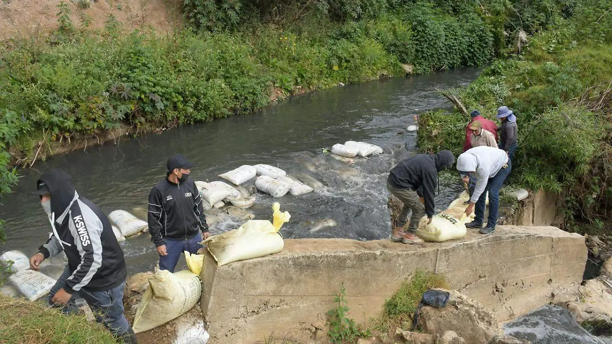 WhatsApp Image 2026-01-27 at 1.49.03 PM