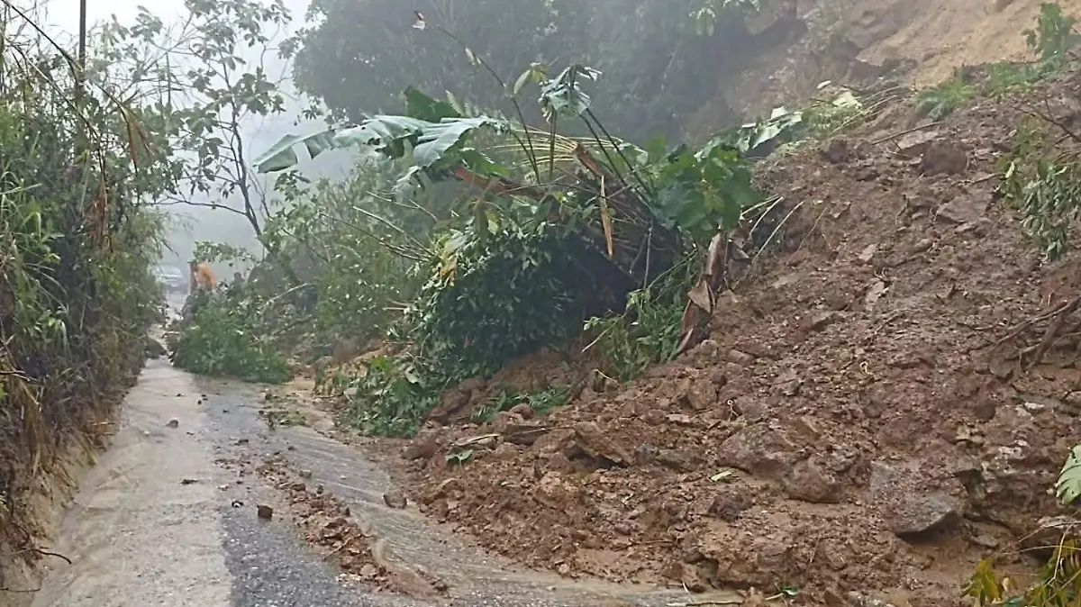 WhatsApp Image 2026-01-28 at 8.04.00 AM