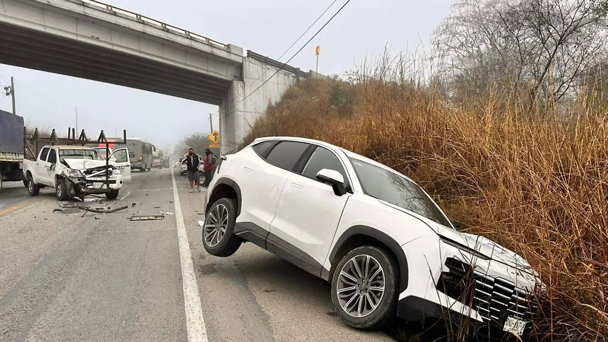 WhatsApp Image 2026-01-28 at 11.49.58 AM (1)