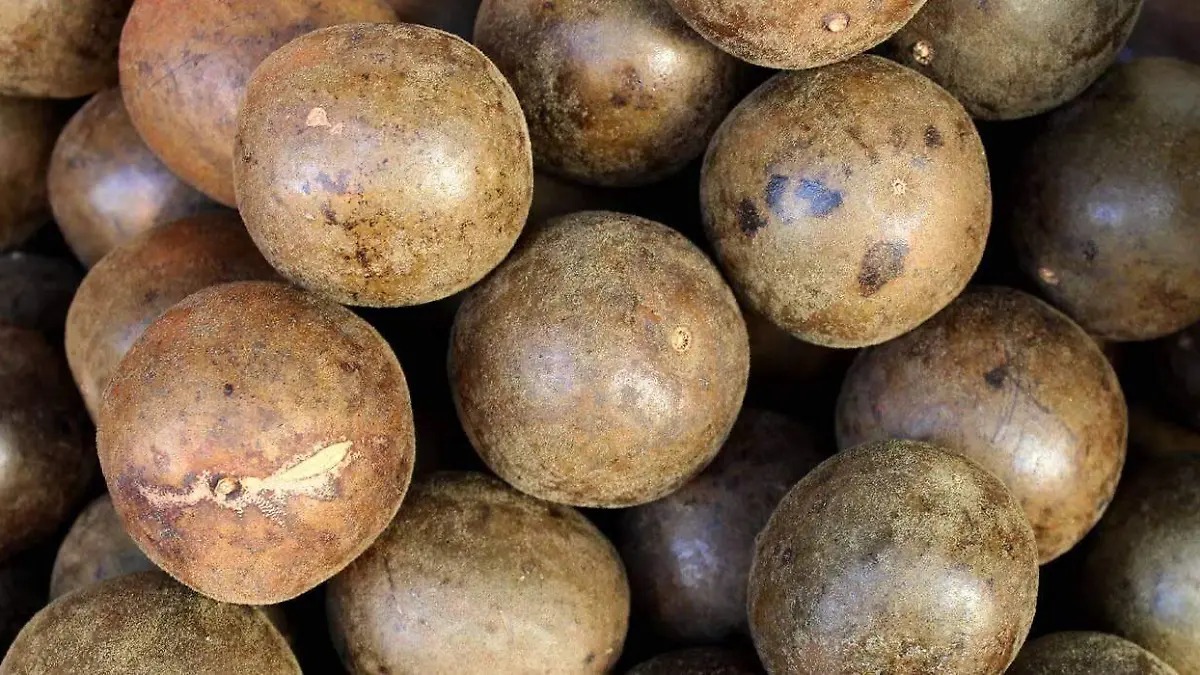 everything-monk-fruit-blog-1400w