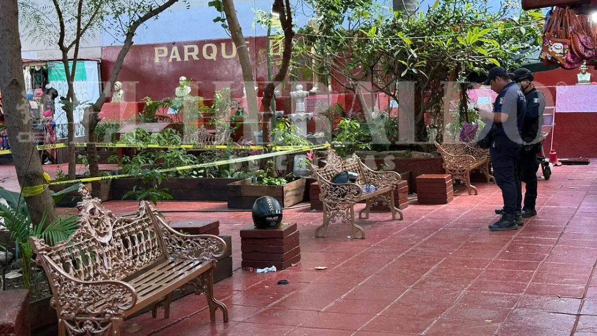 WhatsApp Image 2026-01-28 at 16.40.23 (2)