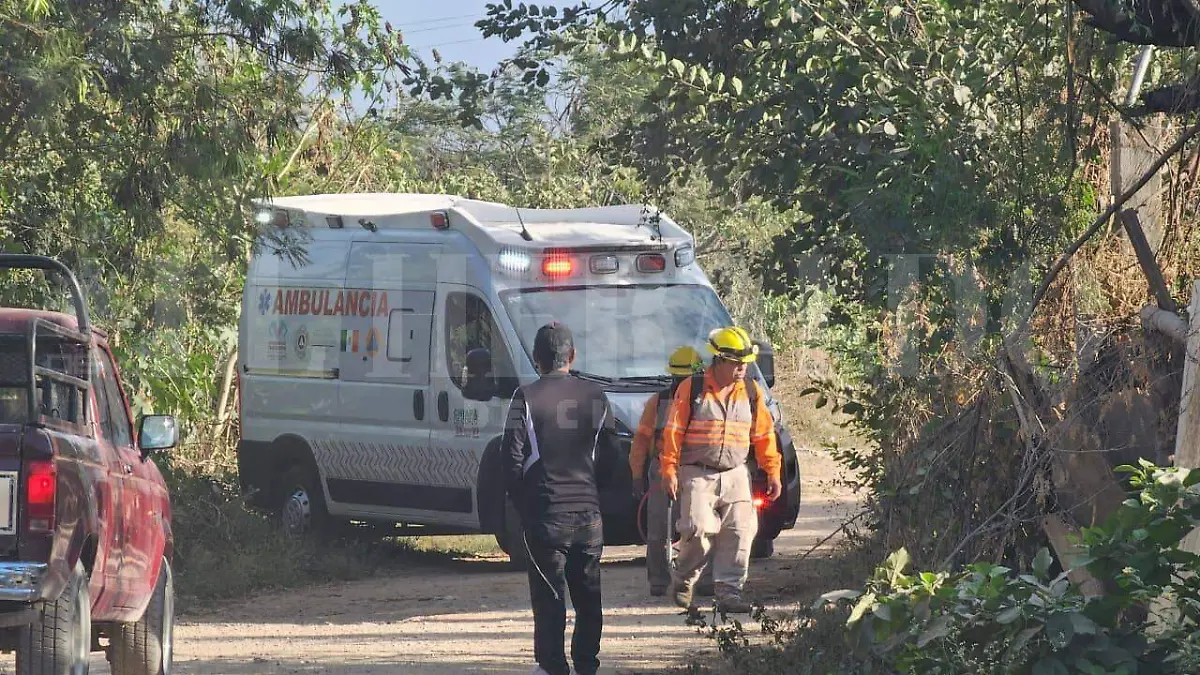 WhatsApp Image 2026-01-28 at 18.52.31