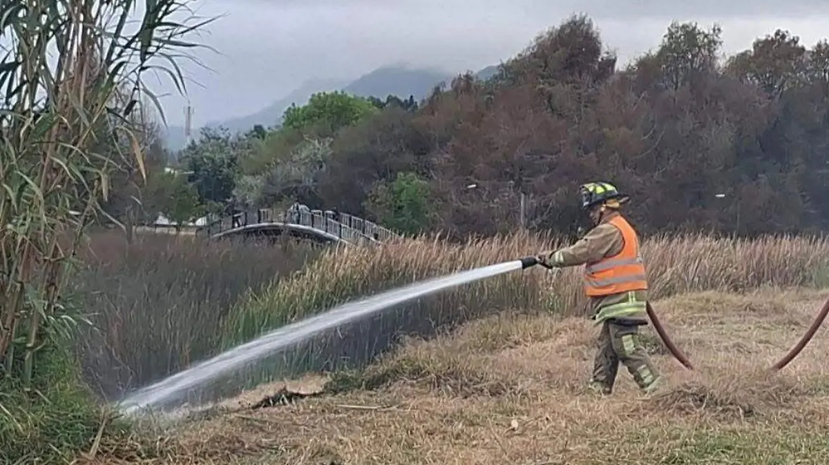 WhatsApp Image 2026-01-29 at 16.58.40