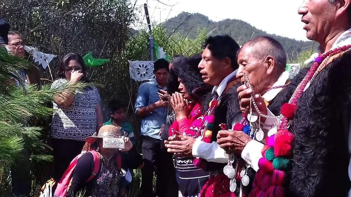 humedales de chiapas