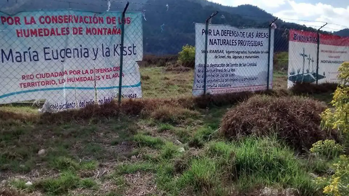 humedales de san cris