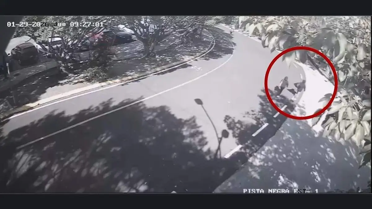 WhatsApp Image 2026-01-30 at 7.24.24 PM (1)